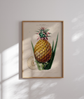 L'Ananas, Pain de Sucre (Paris, 1911)