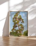 Ivan Ivanovich Shishkin - Pine Tree (1895)