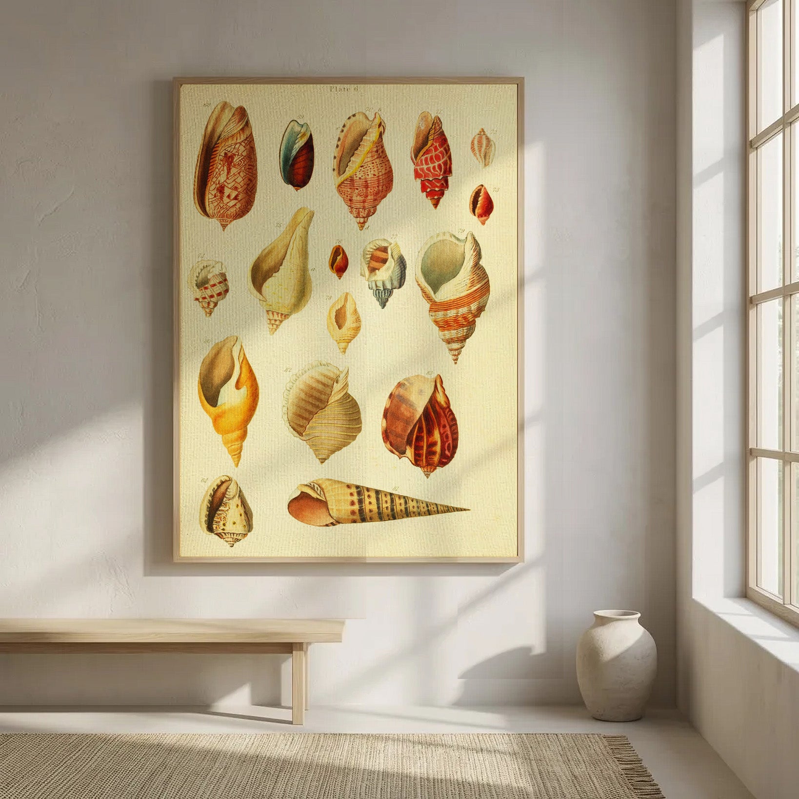 En introduksjon til studiet av konkologi (1815)