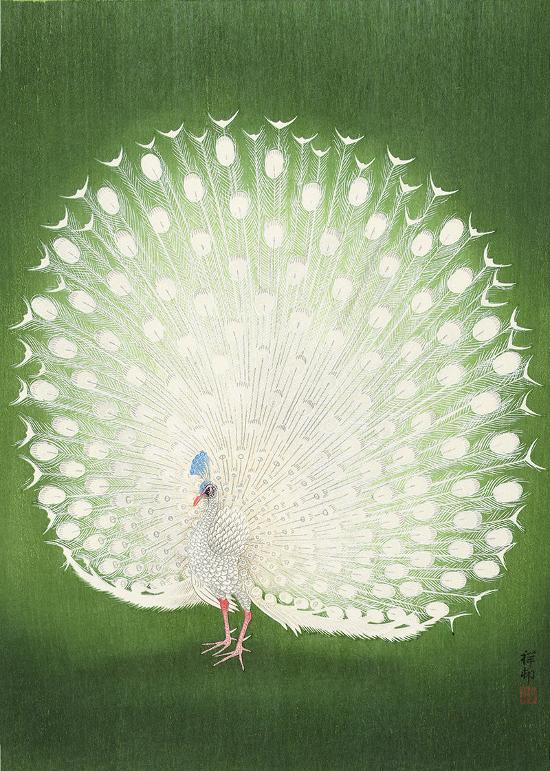 Ohara Koson - Peacock (1925 - 1936)